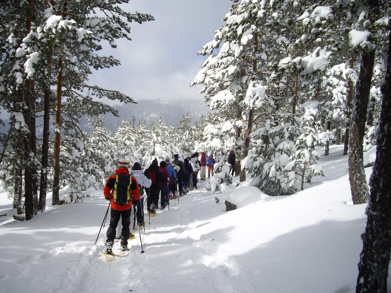 Rutas con raquetas de nieve